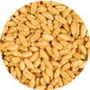 benefit icon